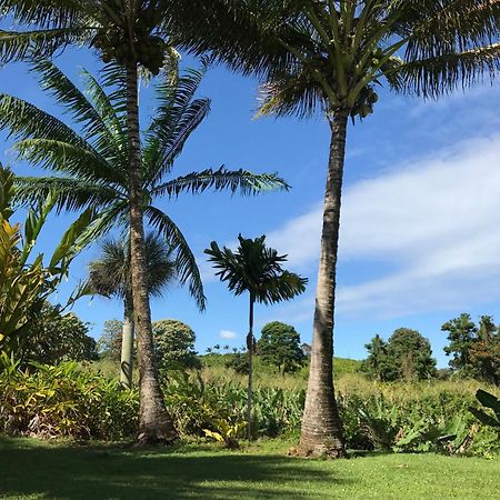 Papaikou Island Goode'S - Luxury Adult Only Accommodation Near Hilo מראה חיצוני תמונה