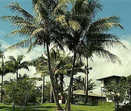 Papaikou Island Goode'S - Luxury Adult Only Accommodation Near Hilo מראה חיצוני תמונה