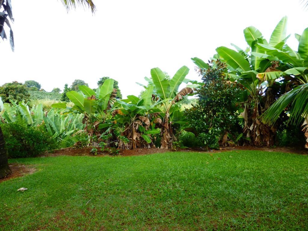 Papaikou Island Goode'S - Luxury Adult Only Accommodation Near Hilo מראה חיצוני תמונה