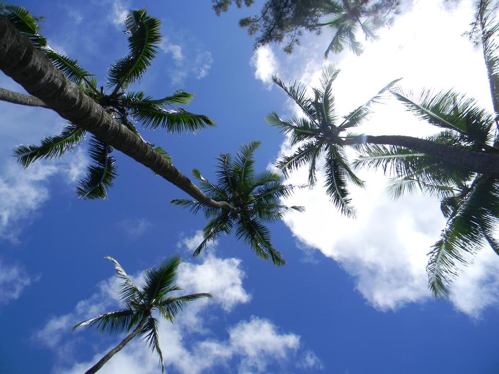 Papaikou Island Goode'S - Luxury Adult Only Accommodation Near Hilo מראה חיצוני תמונה