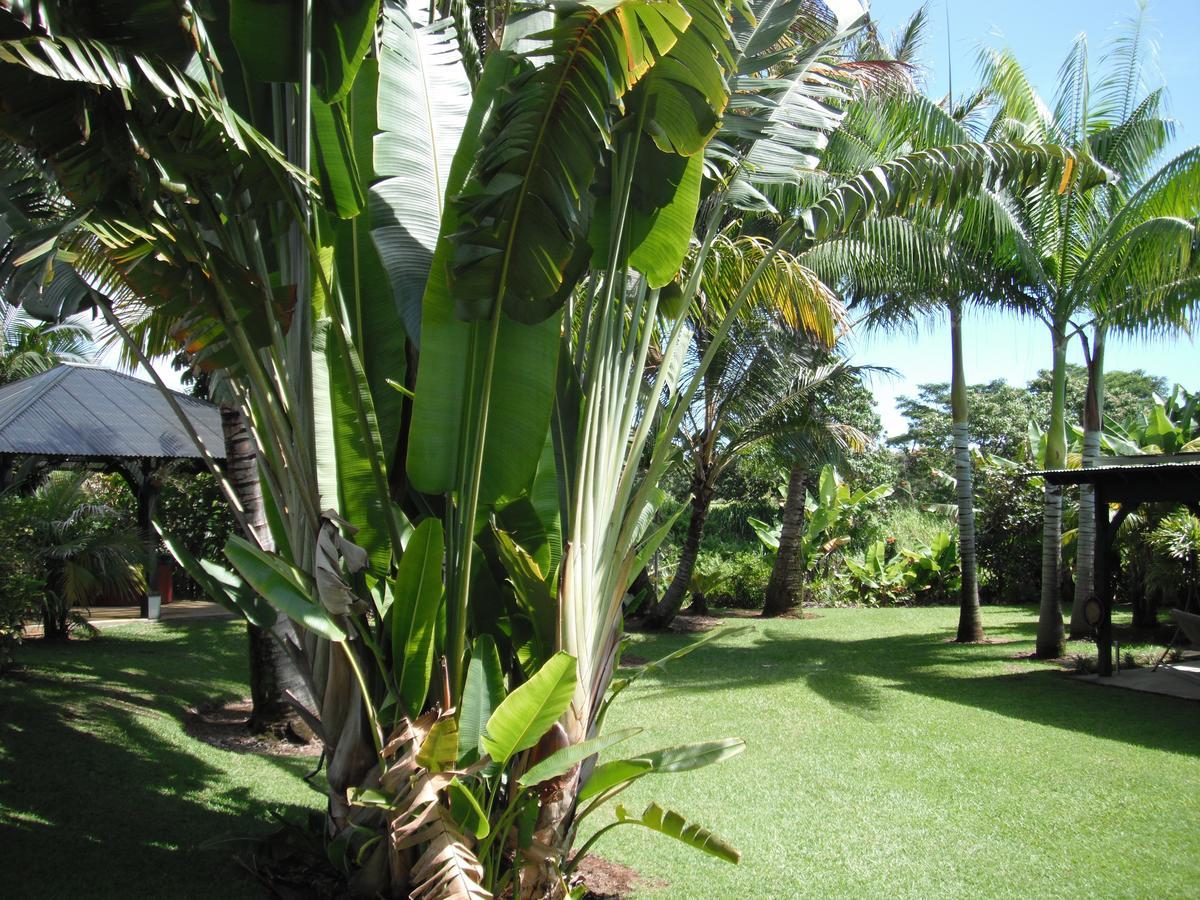 Papaikou Island Goode'S - Luxury Adult Only Accommodation Near Hilo מראה חיצוני תמונה