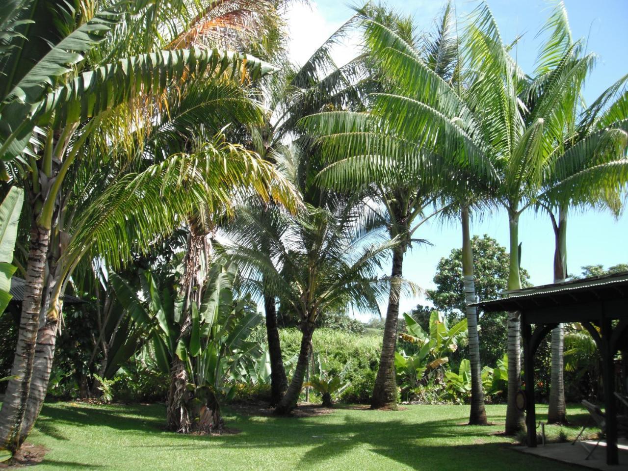 Papaikou Island Goode'S - Luxury Adult Only Accommodation Near Hilo מראה חיצוני תמונה