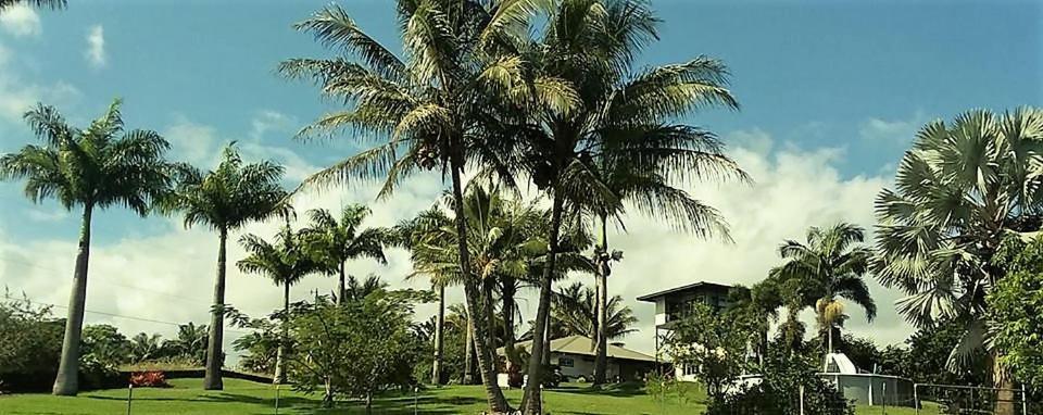 Papaikou Island Goode'S - Luxury Adult Only Accommodation Near Hilo מראה חיצוני תמונה